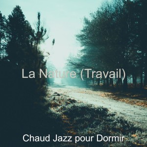 Chaud Jazz pour Dormir