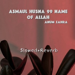 Anum Zahra