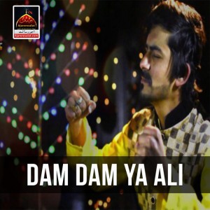 Ali Haider Rizvi