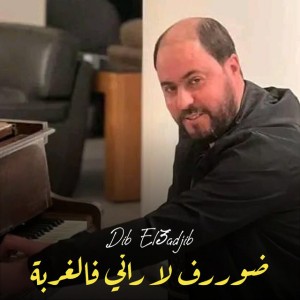 Dib El3ajib