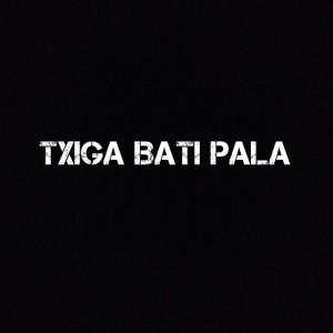Baks.stm