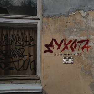 BVSHVR