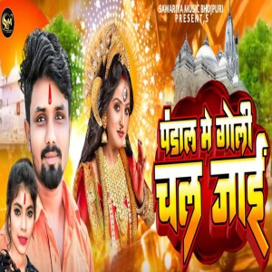 Asfak Ansari