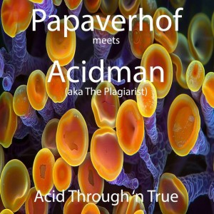 Acidman aka the "Plagiarist"
