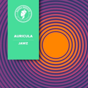 AURICULA