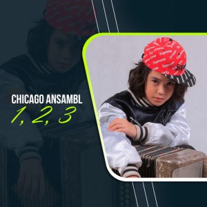 Chicago ansambl