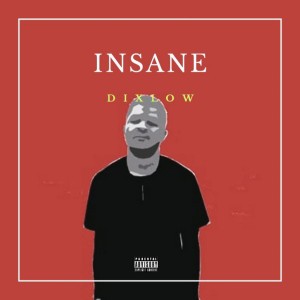 DixLow