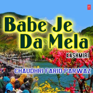 Chaudhri Farid Parwaz