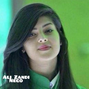 Ali Zandi
