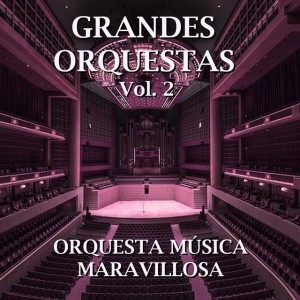 Orquesta Música Maravillosa