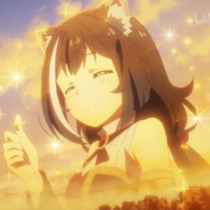 Anion灰