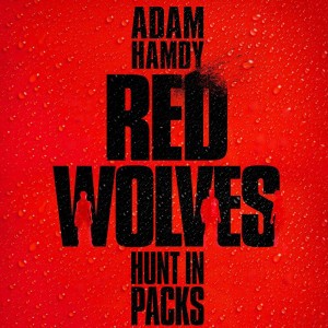Adam Hamdy