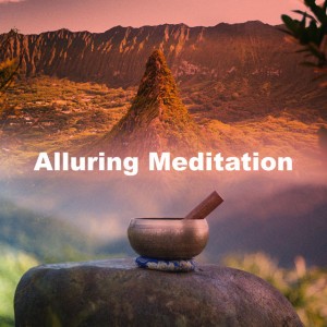 Cheerful Mindfulness Meditation