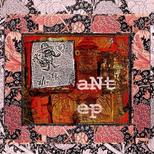 aNt