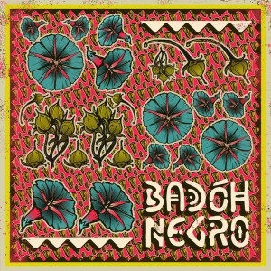 Badóh