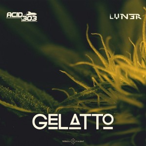 Acid 303