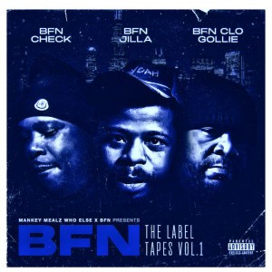Bfn Check