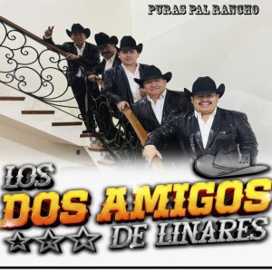 Los Dos Amigos De Linares