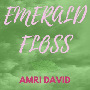Amri David