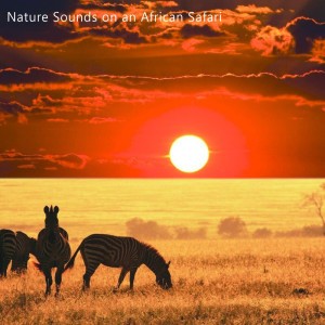 African Sounds