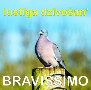 Bravissimo