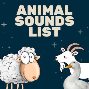 Animals Noise