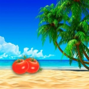Beanie Tomato