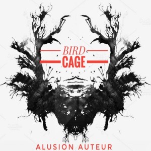 Alusion Auteur