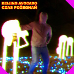 Beijing Avocado