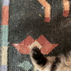 Cat Axe