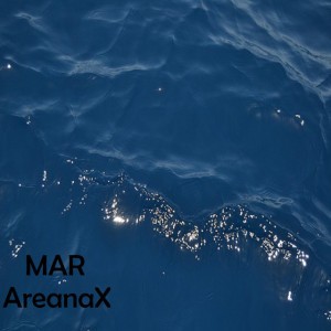 AreanaX