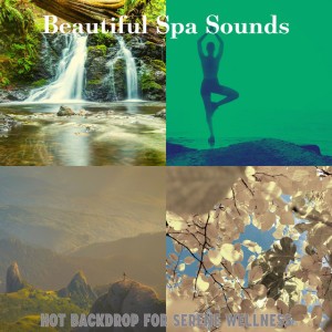 Beautiful Spa Sounds