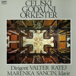 Celjski godalni orkester