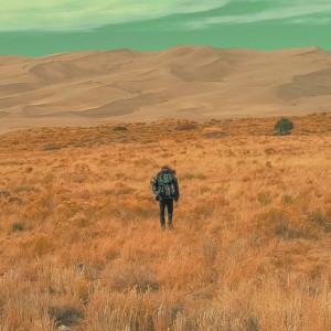 Remote View