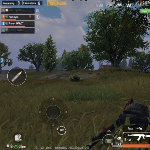 BralynCj