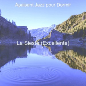 Apaisant Jazz pour Dormir