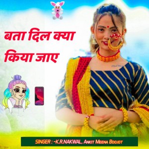 Ankit Meena Boojot