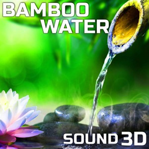 Bamboo Water 3D Ambience