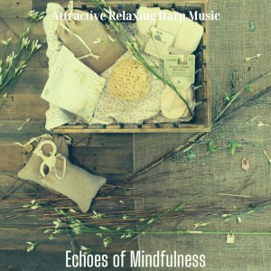 Attractive Relaxing Harp Music
