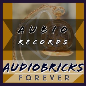 AudioBricks