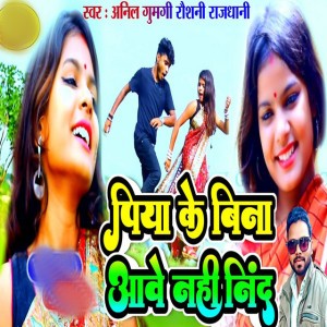 Anil Gumgi