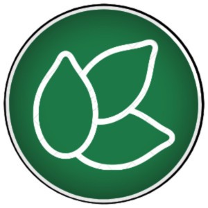 BRVNO