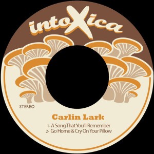 Carlin Lark