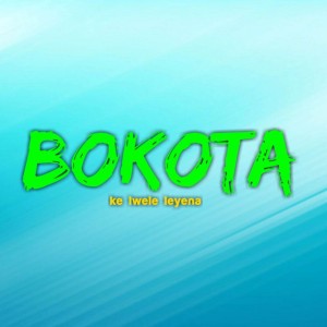 Bokota
