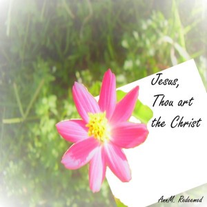 Annm. Redeemed