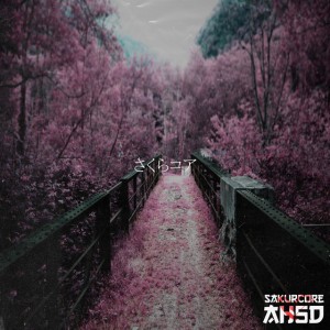 AH5D