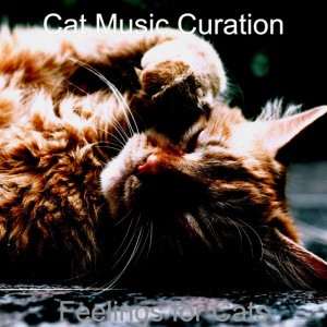 Cat Music Curation