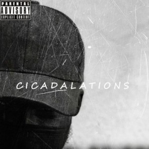Cicada