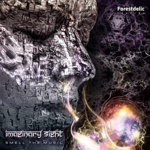 Imaginary Sight
