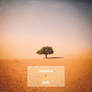 Amadeo